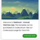 دانلود اپلیکیشن وب ویو اندروید WebDroid-Android WebView App