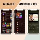 دانلود اپلیکیشن موزیک پلیر فلاتر Audalee Unlimited Music Streaming App