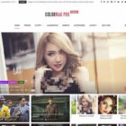 دانلود قالب وردپرس مجله خبری ColorMag pro-Magazine-News Style